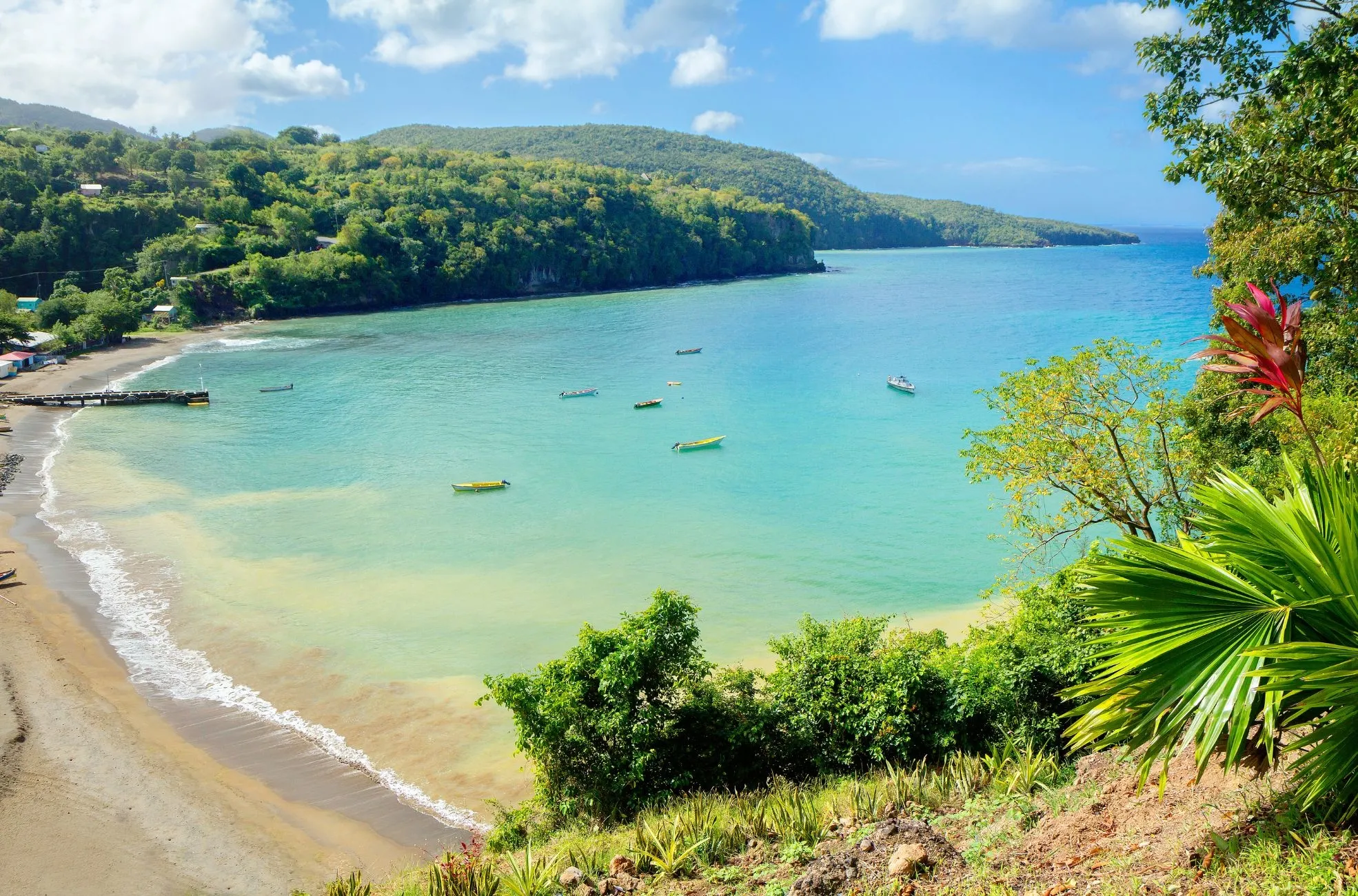 Dominica